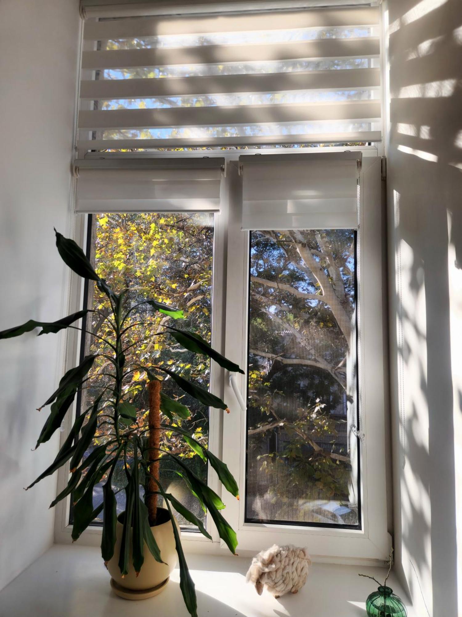 Scandi Group Apartaments Odessza Szoba fotó